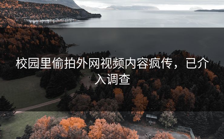 校园里偷拍外网视频内容疯传，已介入调查