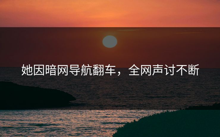 她因暗网导航翻车，全网声讨不断