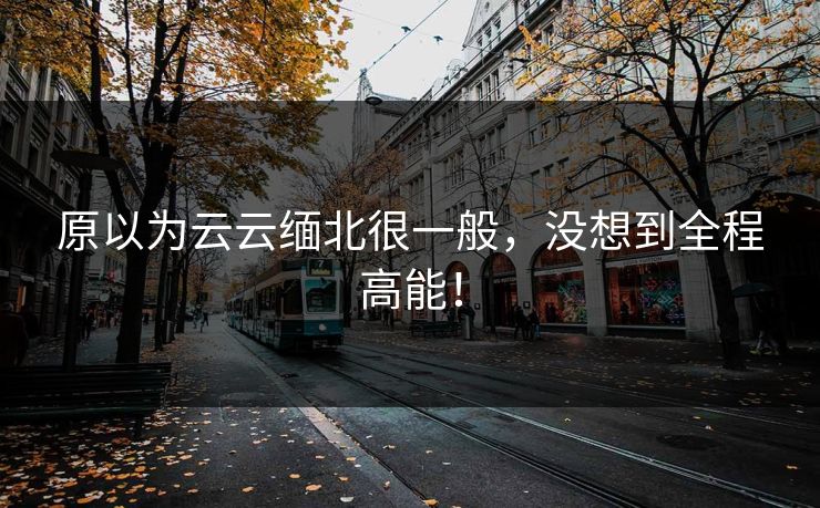 原以为云云缅北很一般，没想到全程高能！