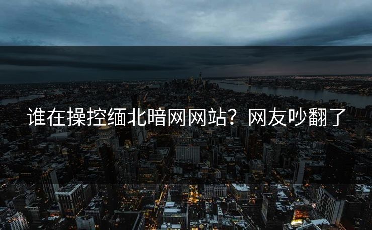 谁在操控缅北暗网网站？网友吵翻了