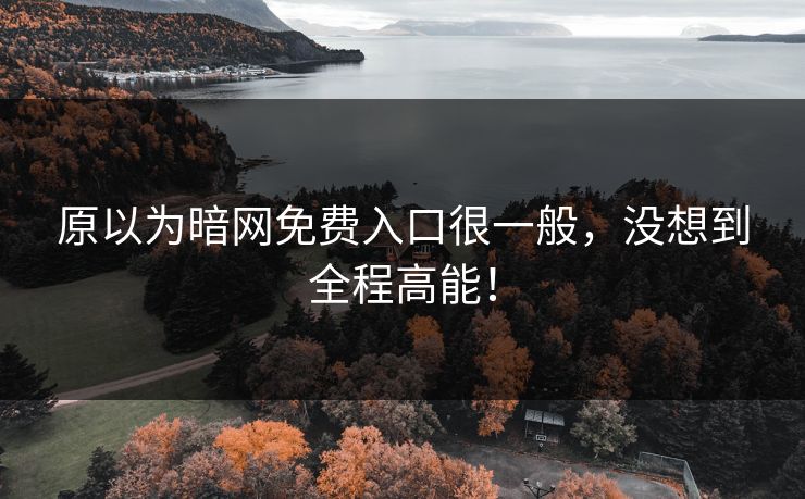 原以为暗网免费入口很一般，没想到全程高能！