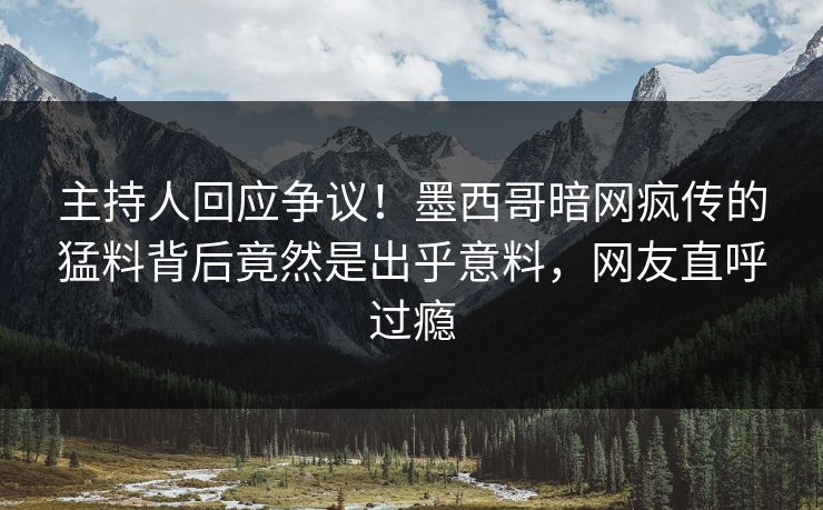 主持人回应争议！墨西哥暗网疯传的猛料背后竟然是出乎意料，网友直呼过瘾