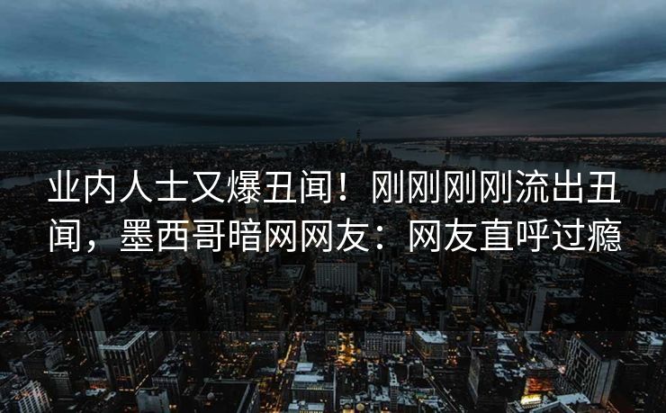 业内人士又爆丑闻！刚刚刚刚流出丑闻，墨西哥暗网网友：网友直呼过瘾