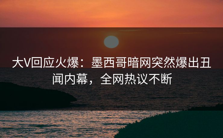 大V回应火爆：墨西哥暗网突然爆出丑闻内幕，全网热议不断