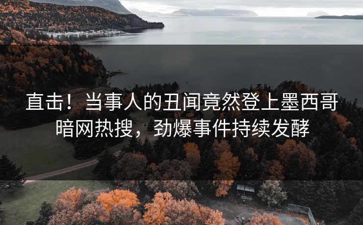 直击！当事人的丑闻竟然登上墨西哥暗网热搜，劲爆事件持续发酵