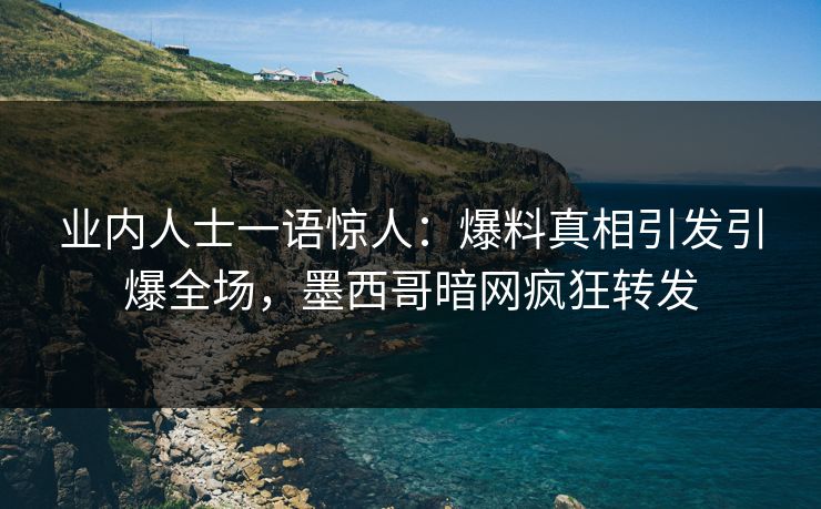 业内人士一语惊人：爆料真相引发引爆全场，墨西哥暗网疯狂转发
