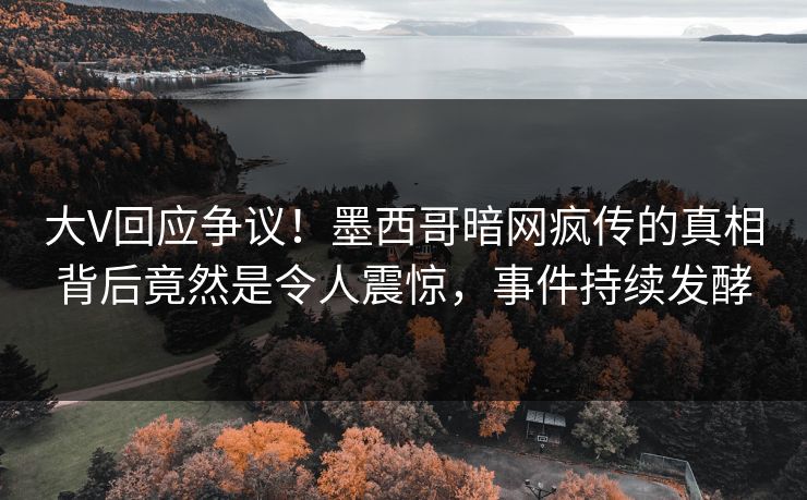 大V回应争议！墨西哥暗网疯传的真相背后竟然是令人震惊，事件持续发酵