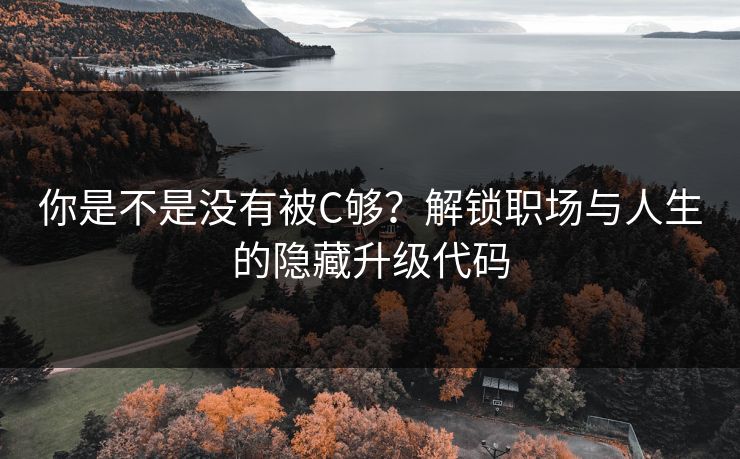 你是不是没有被C够？解锁职场与人生的隐藏升级代码