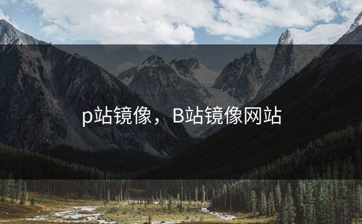 p站镜像，B站镜像网站